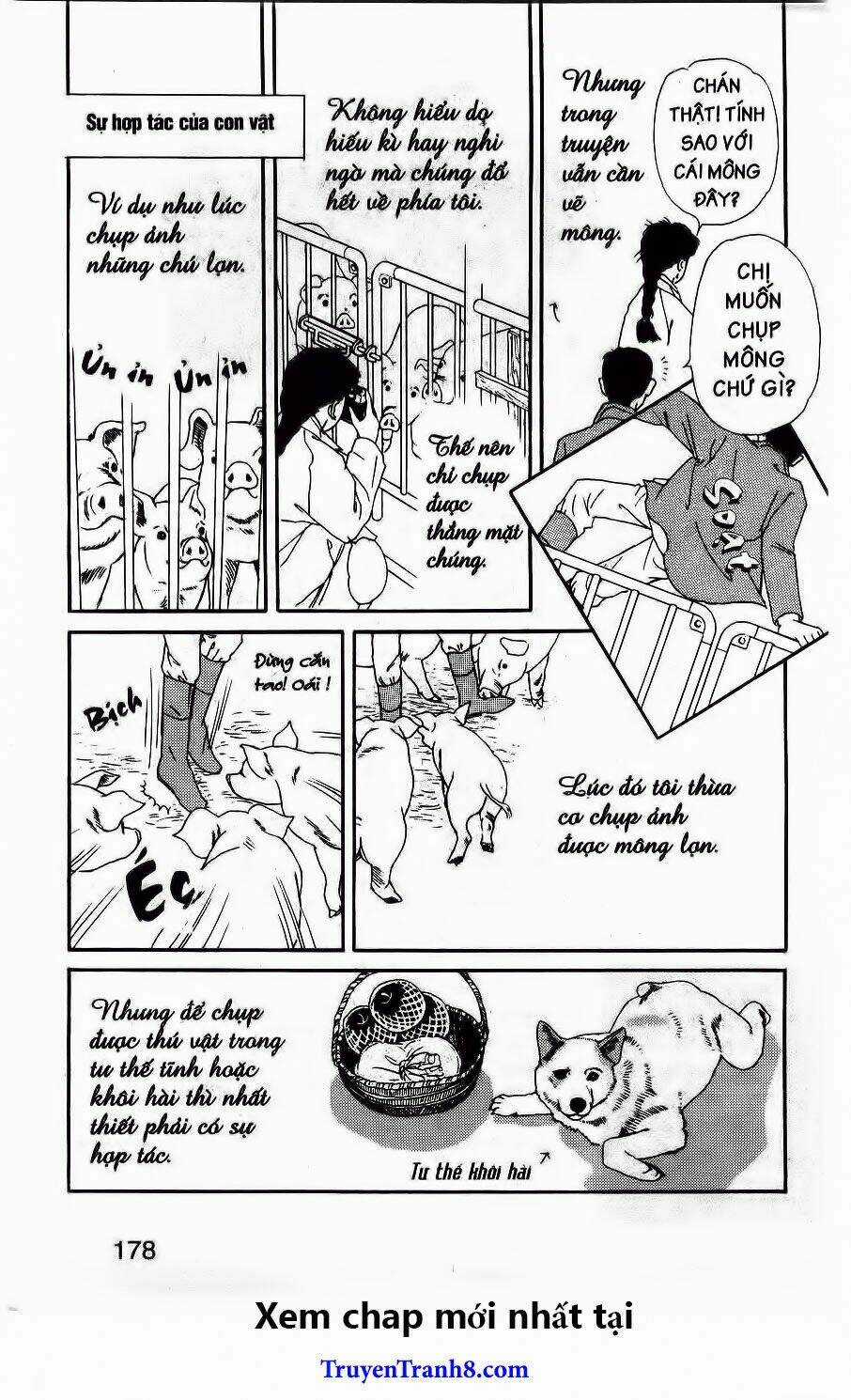 Doubutsu No Oishasan Chapter 32 trang 19
