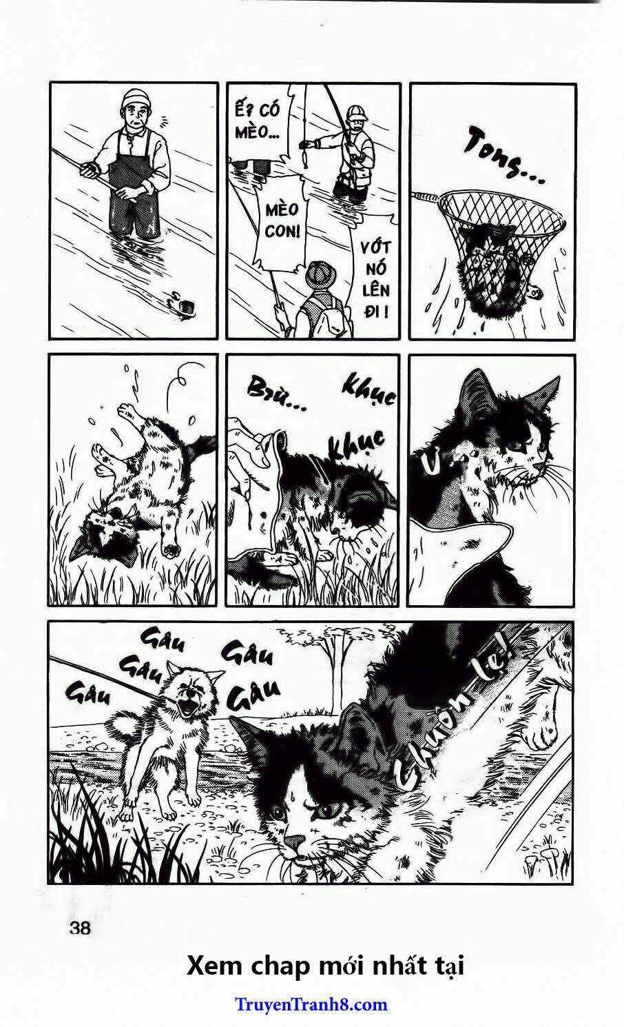 Doubutsu No Oishasan Chapter 92 trang 14