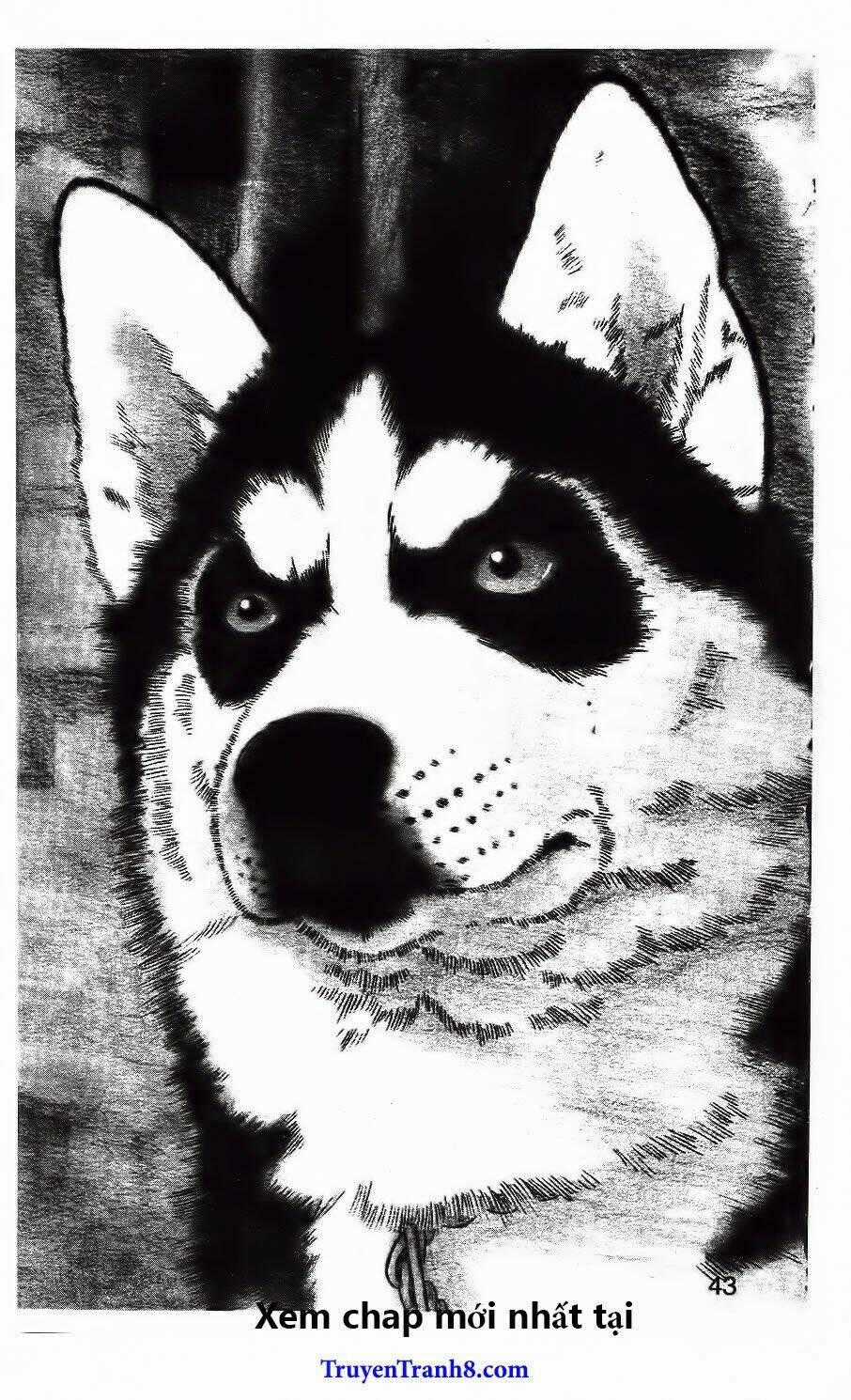 Doubutsu No Oishasan Chapter 93 trang 1