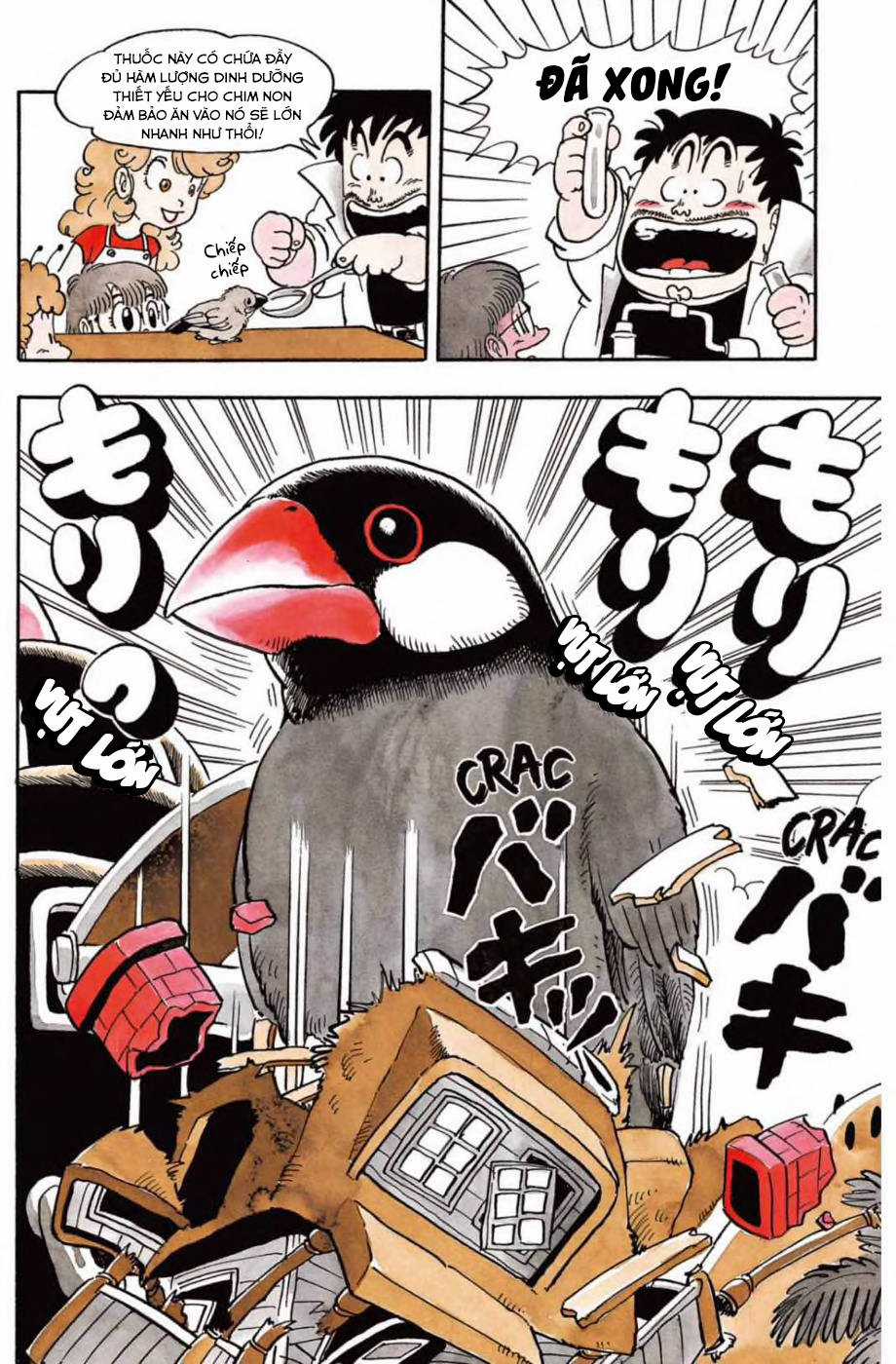 Dr. Slump Chapter 126 trang 11