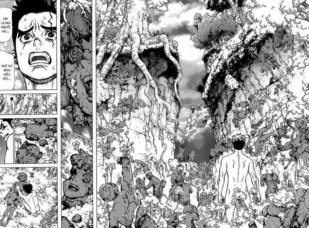 Dr.stone - Hồi Sinh Thế Giới Chapter 1 trang 32
