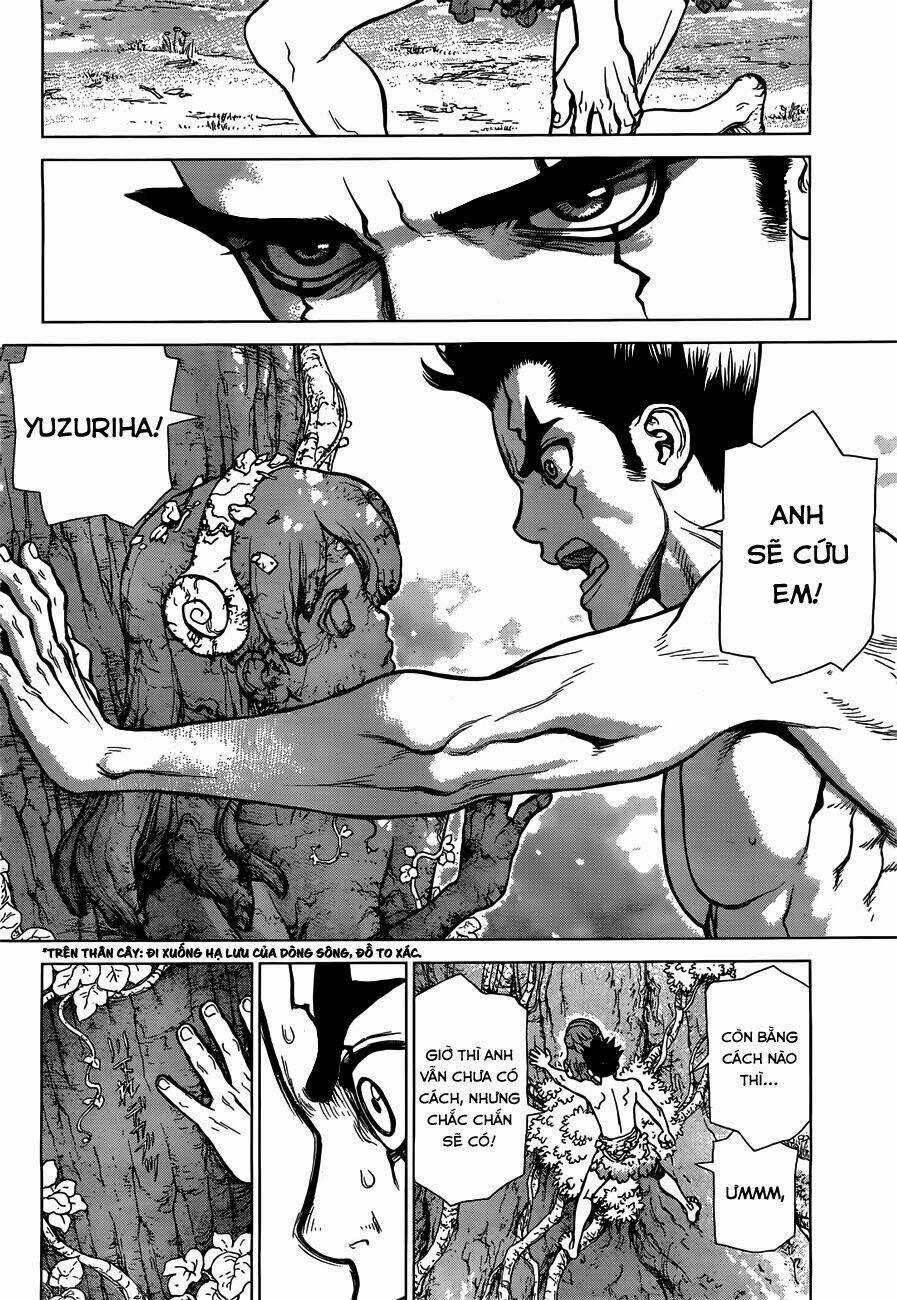Dr.stone - Hồi Sinh Thế Giới Chapter 1 trang 38