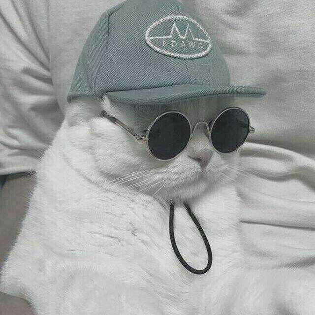 Dr.stone - Hồi Sinh Thế Giới Chapter 108 trang 22