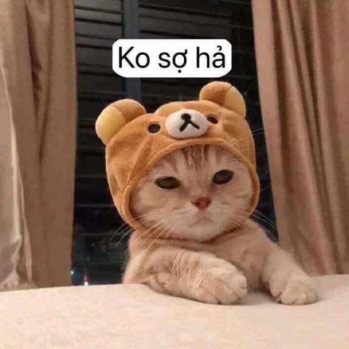 Dr.stone - Hồi Sinh Thế Giới Chapter 114 trang 19