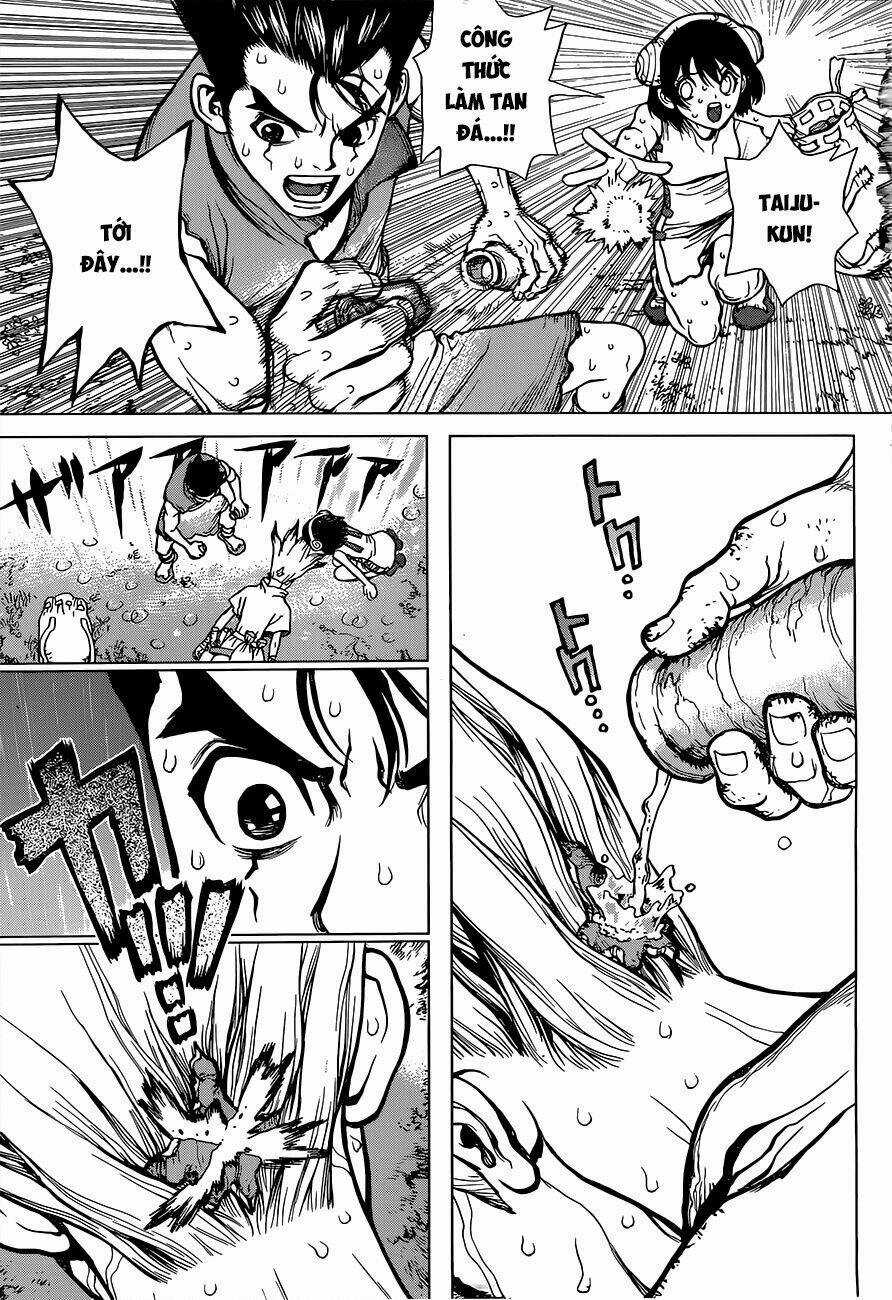 Dr.stone - Hồi Sinh Thế Giới Chapter 12 trang 13