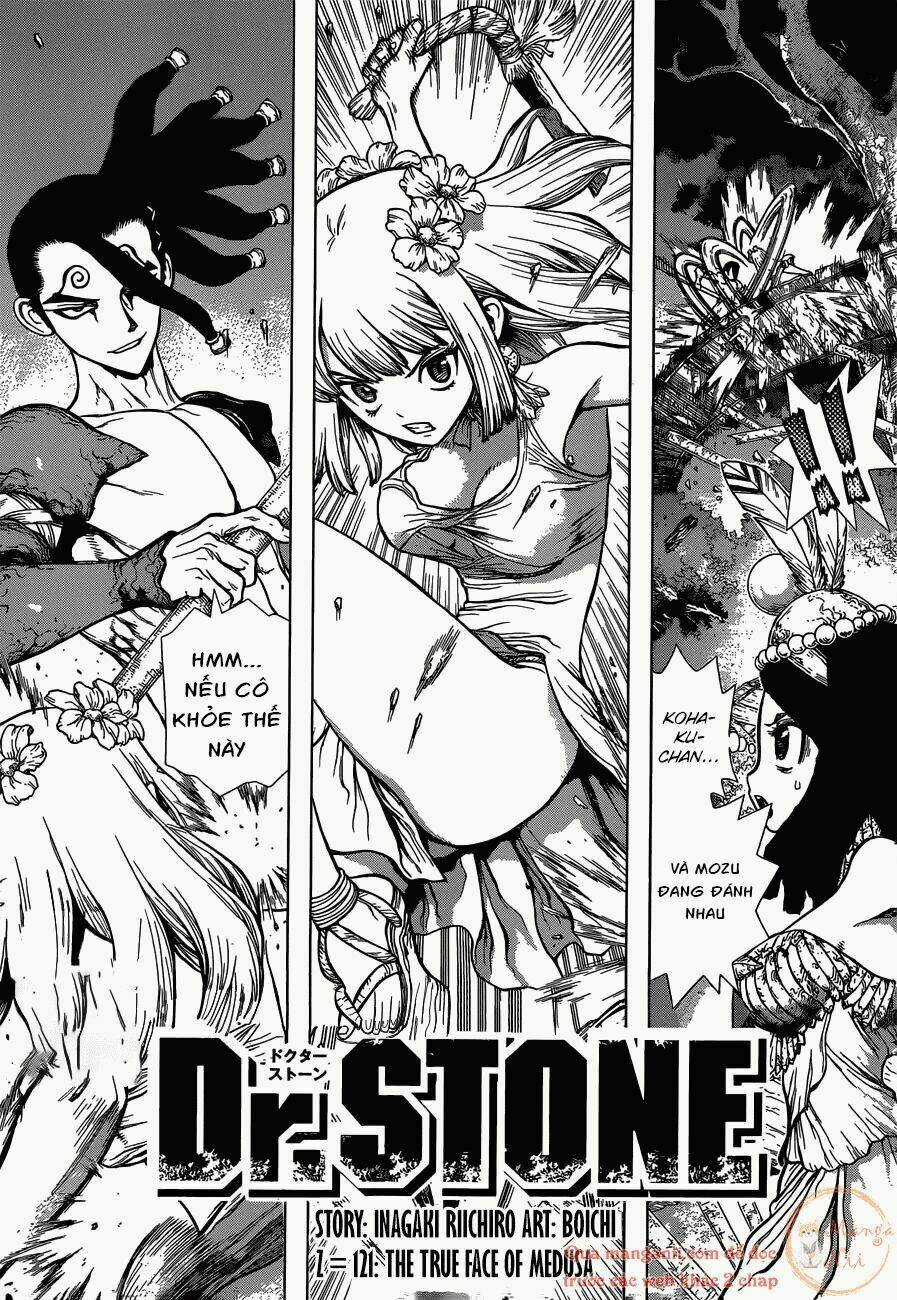 Dr.stone - Hồi Sinh Thế Giới Chapter 121 trang 0