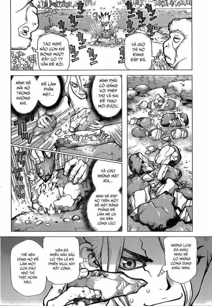 Dr.stone - Hồi Sinh Thế Giới Chapter 13 trang 11