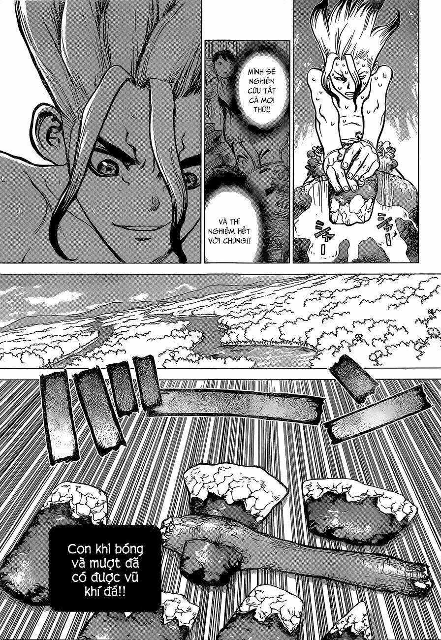 Dr.stone - Hồi Sinh Thế Giới Chapter 13 trang 12