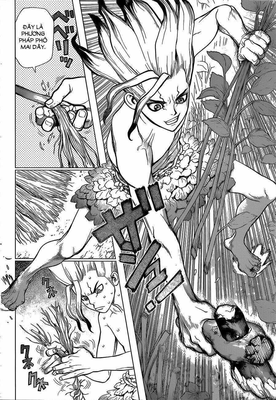 Dr.stone - Hồi Sinh Thế Giới Chapter 13 trang 13