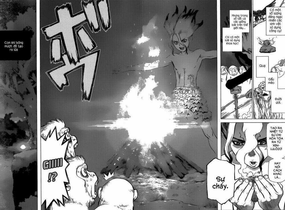 Dr.stone - Hồi Sinh Thế Giới Chapter 13 trang 15