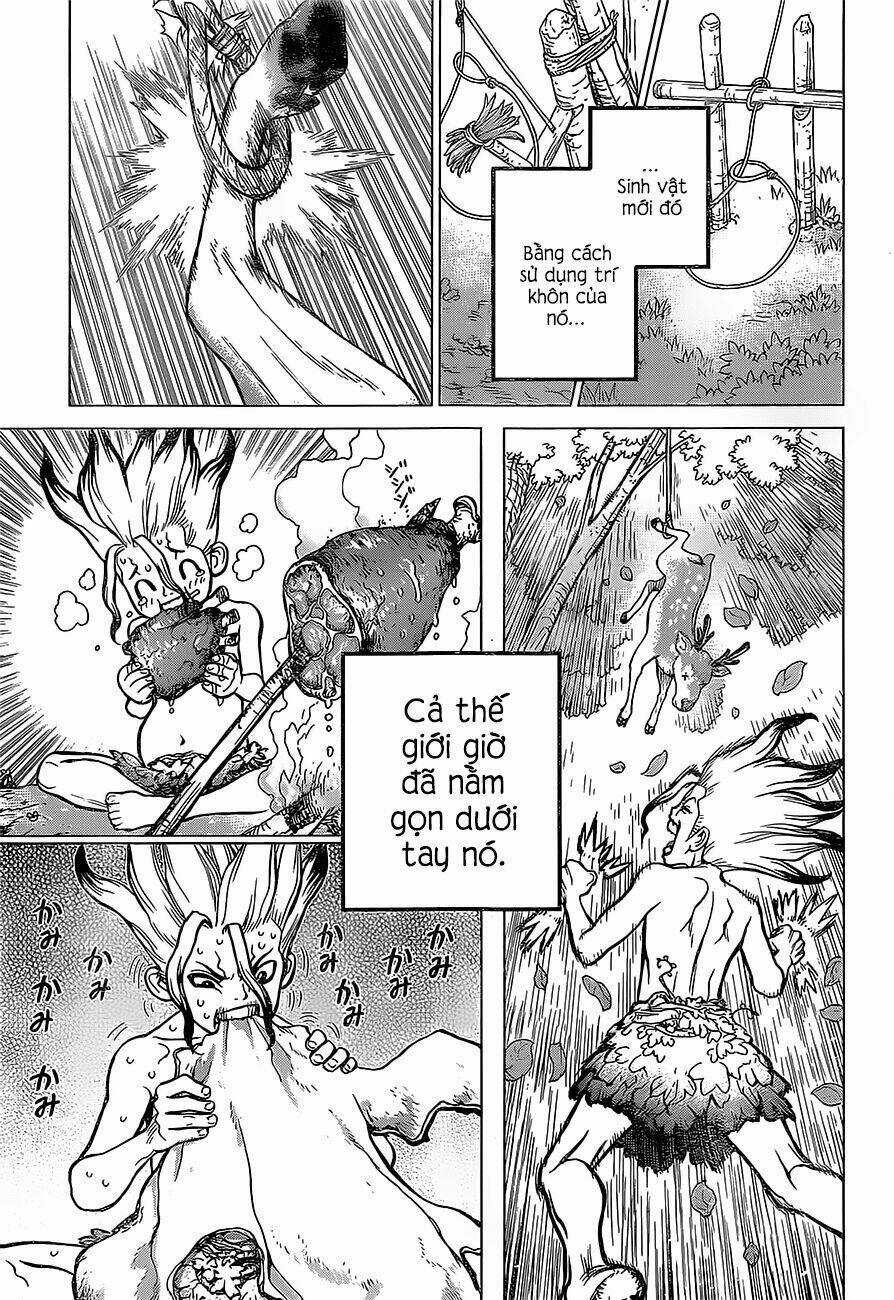 Dr.stone - Hồi Sinh Thế Giới Chapter 13 trang 16