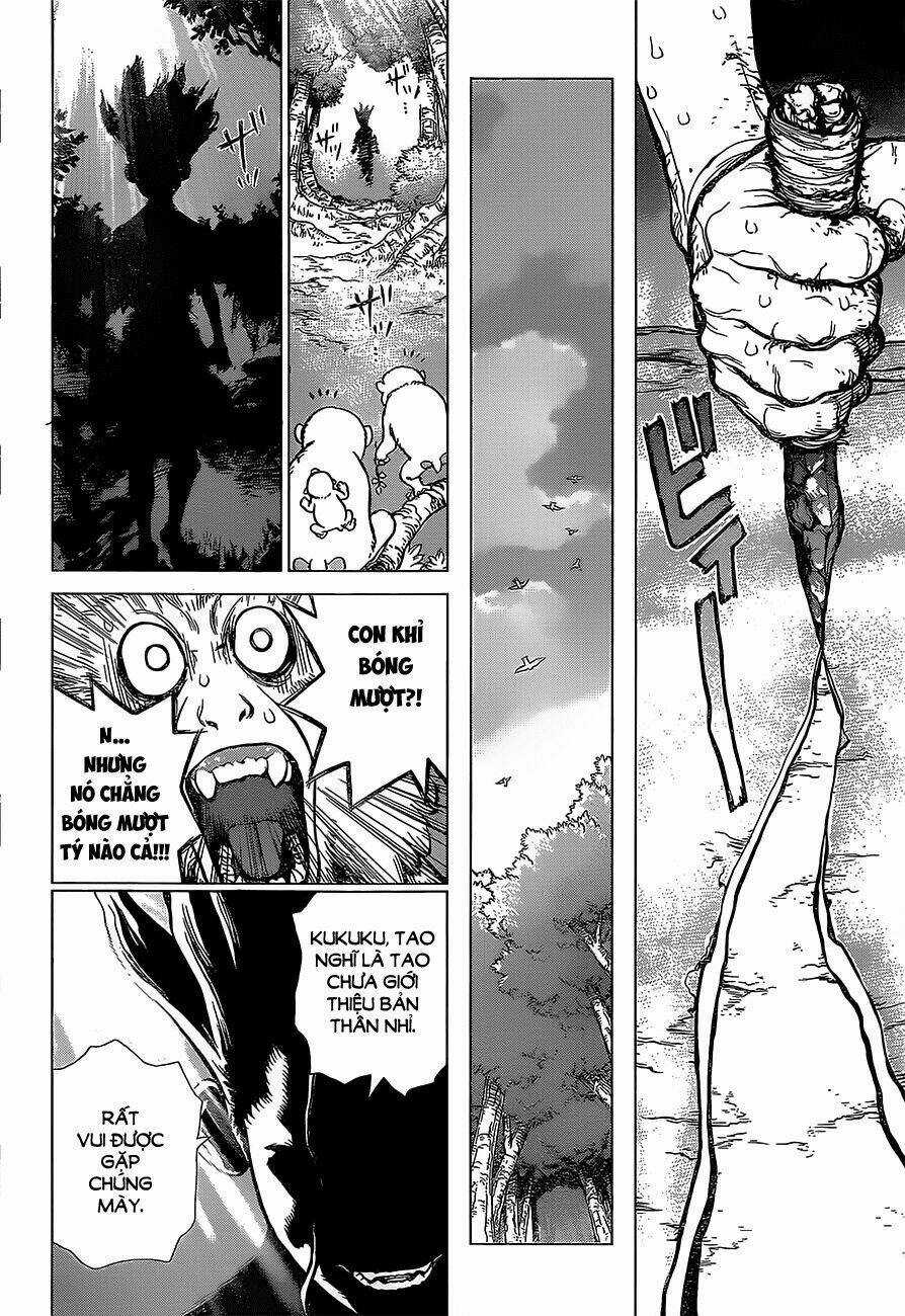 Dr.stone - Hồi Sinh Thế Giới Chapter 13 trang 17