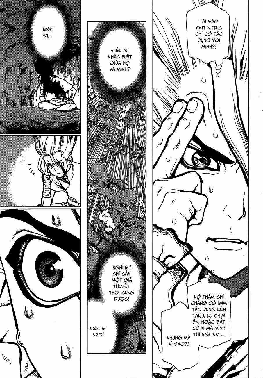 Dr.stone - Hồi Sinh Thế Giới Chapter 14 trang 11