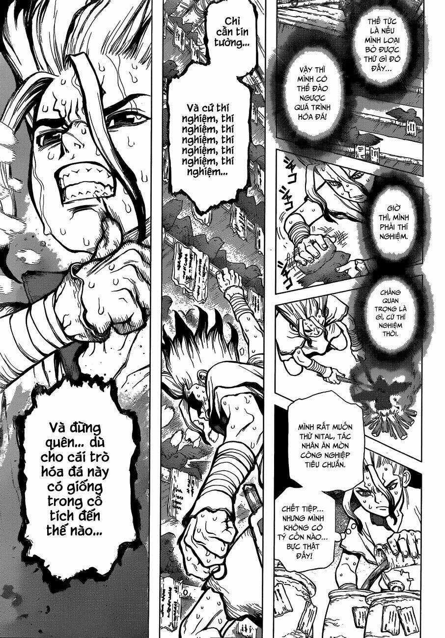 Dr.stone - Hồi Sinh Thế Giới Chapter 14 trang 13