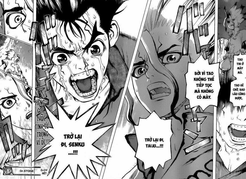 Dr.stone - Hồi Sinh Thế Giới Chapter 14 trang 16