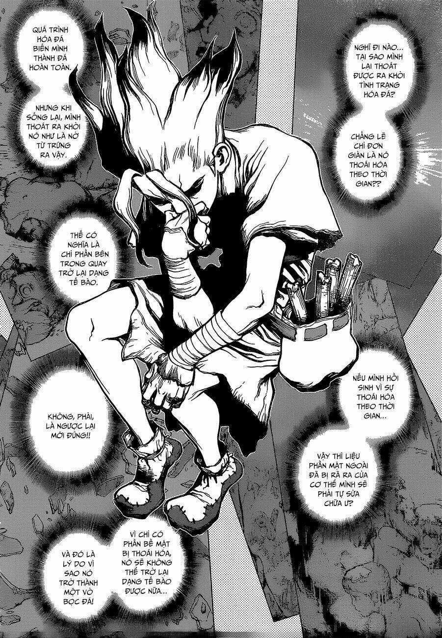Dr.stone - Hồi Sinh Thế Giới Chapter 14 trang 6