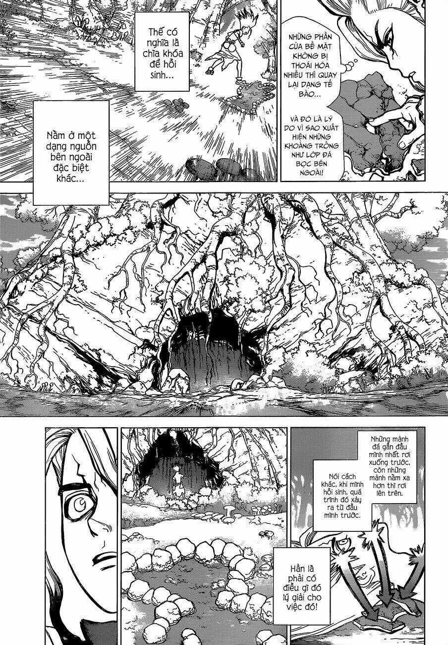 Dr.stone - Hồi Sinh Thế Giới Chapter 14 trang 7