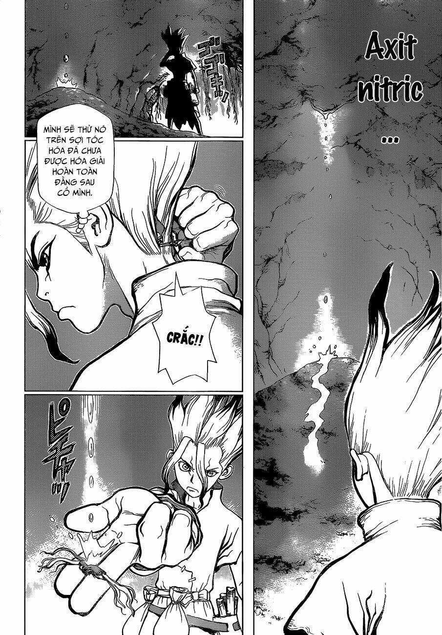 Dr.stone - Hồi Sinh Thế Giới Chapter 14 trang 8