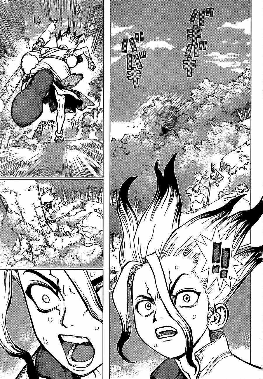 Dr.stone - Hồi Sinh Thế Giới Chapter 16 trang 11