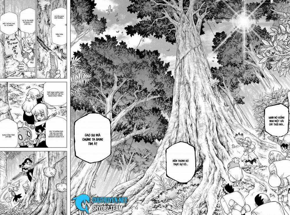 Dr.stone - Hồi Sinh Thế Giới Chapter 174 trang 10