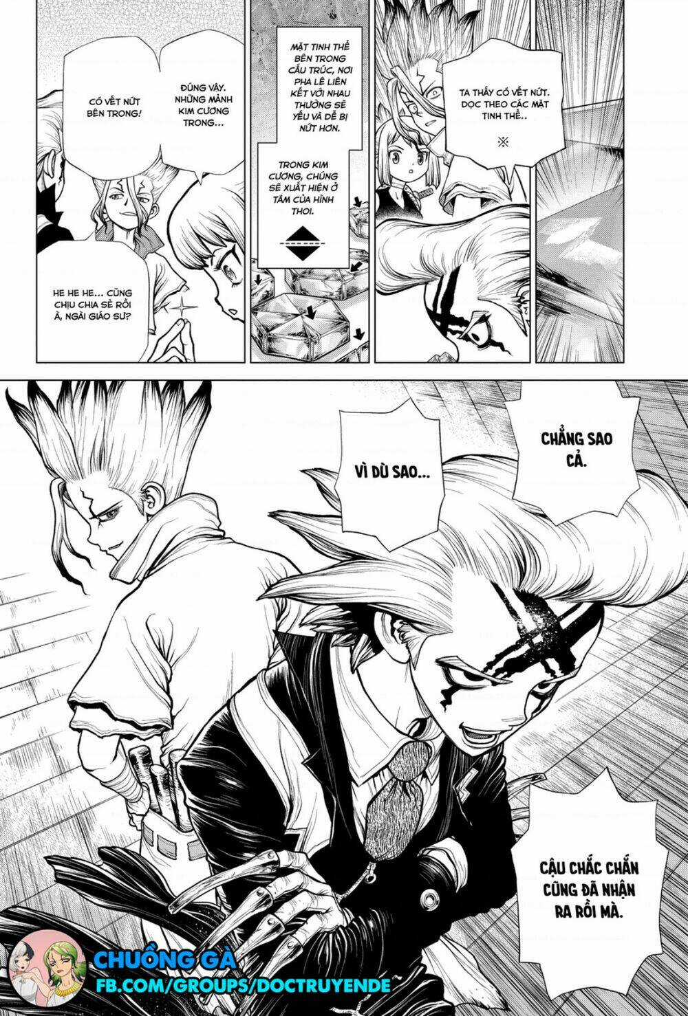 Dr.stone - Hồi Sinh Thế Giới Chapter 182 trang 8