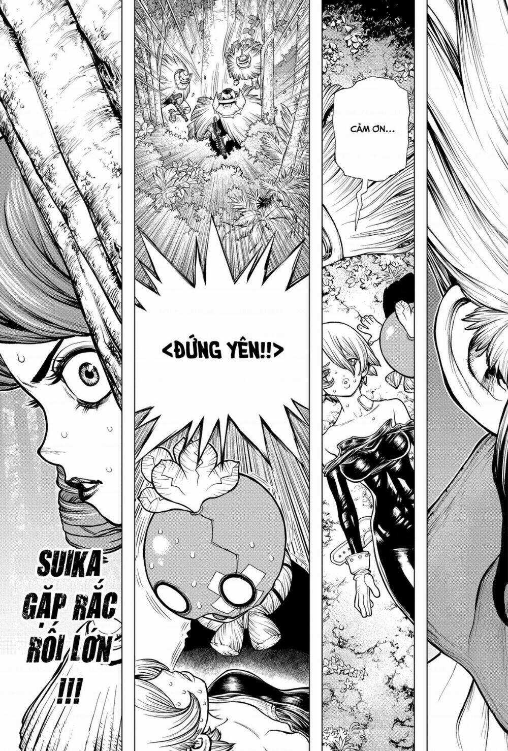 Dr.stone - Hồi Sinh Thế Giới Chapter 185 trang 17