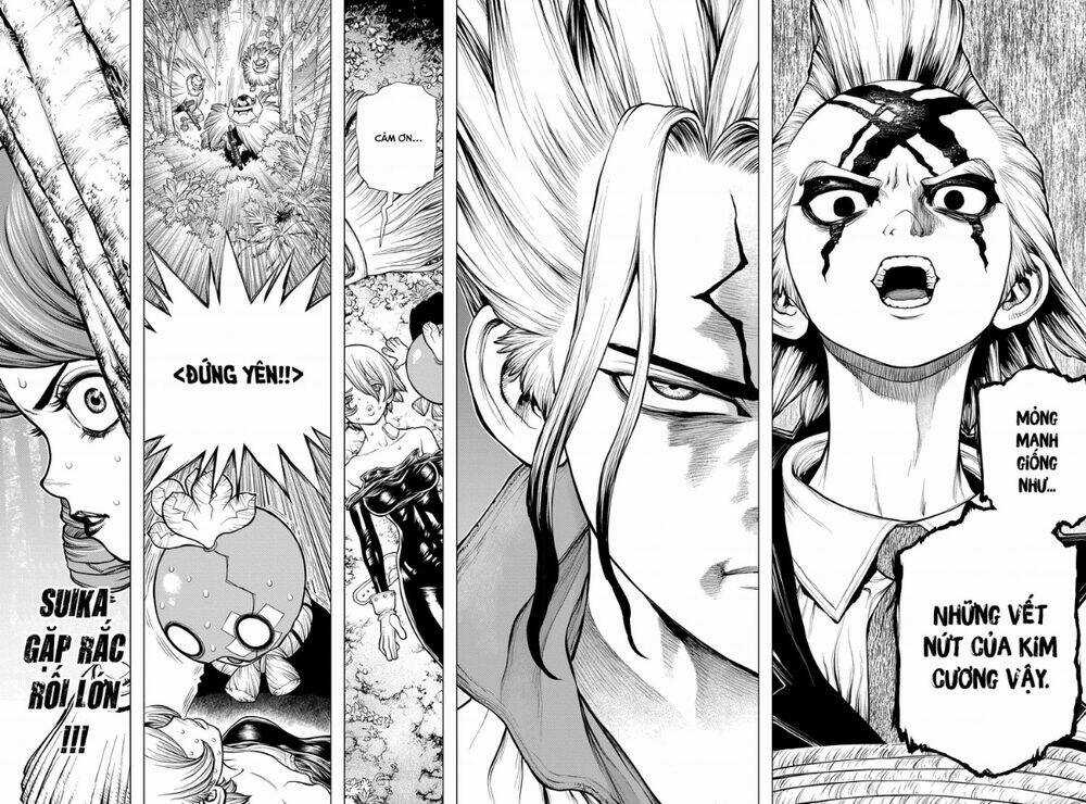 Dr.stone - Hồi Sinh Thế Giới Chapter 185 trang 18