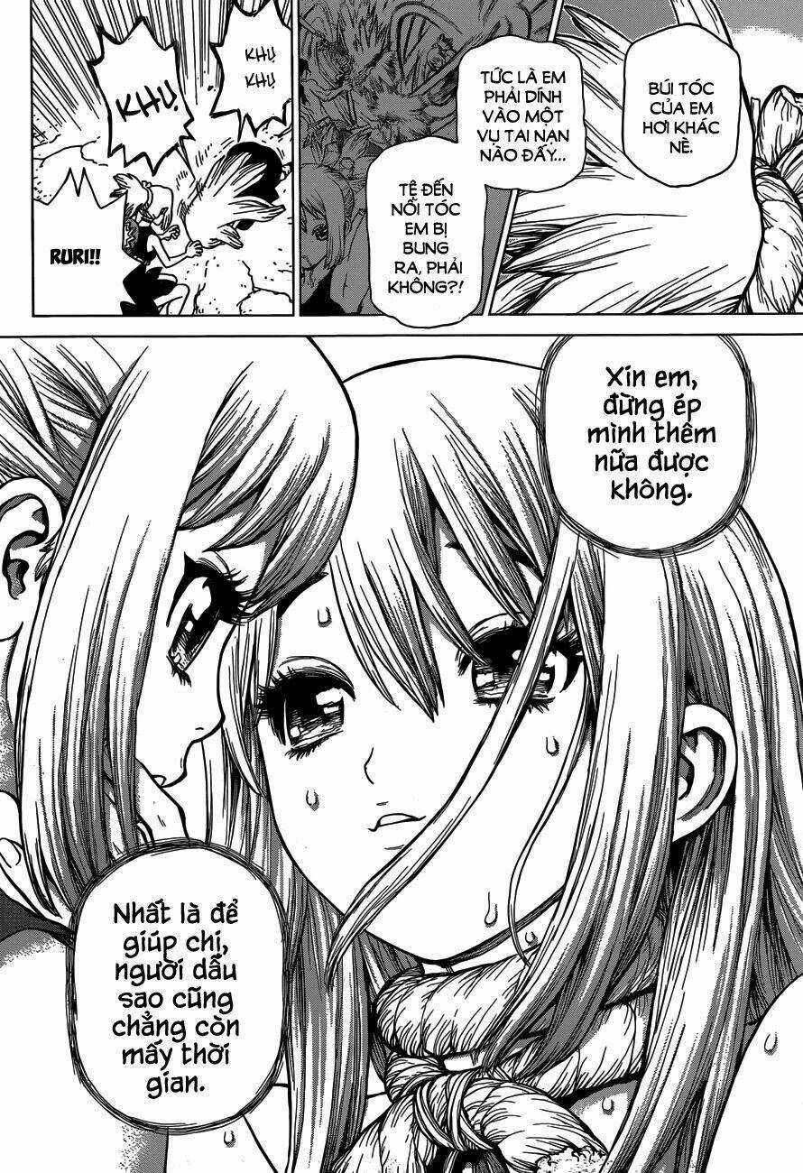 Dr.stone - Hồi Sinh Thế Giới Chapter 19 trang 11