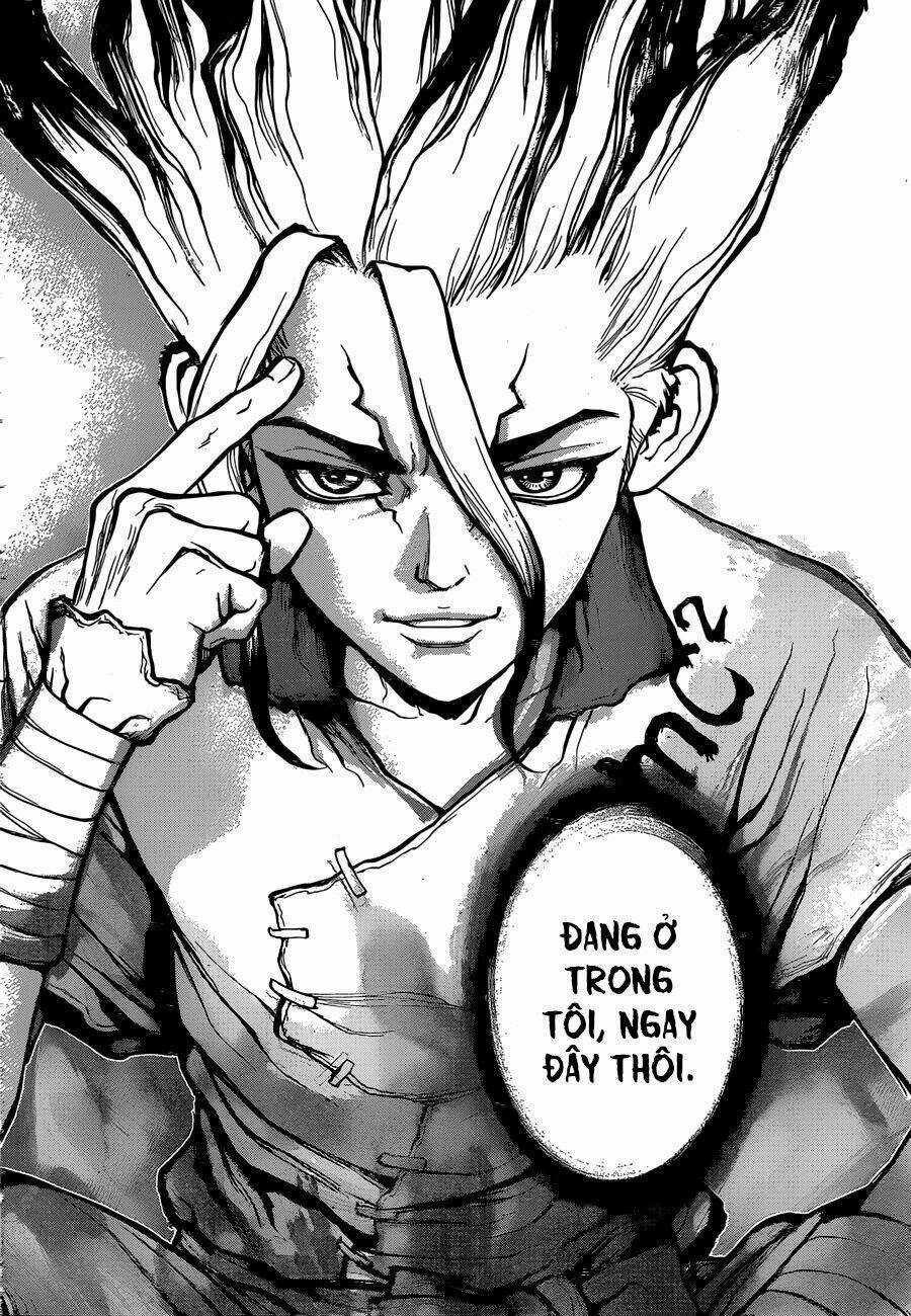 Dr.stone - Hồi Sinh Thế Giới Chapter 19 trang 16