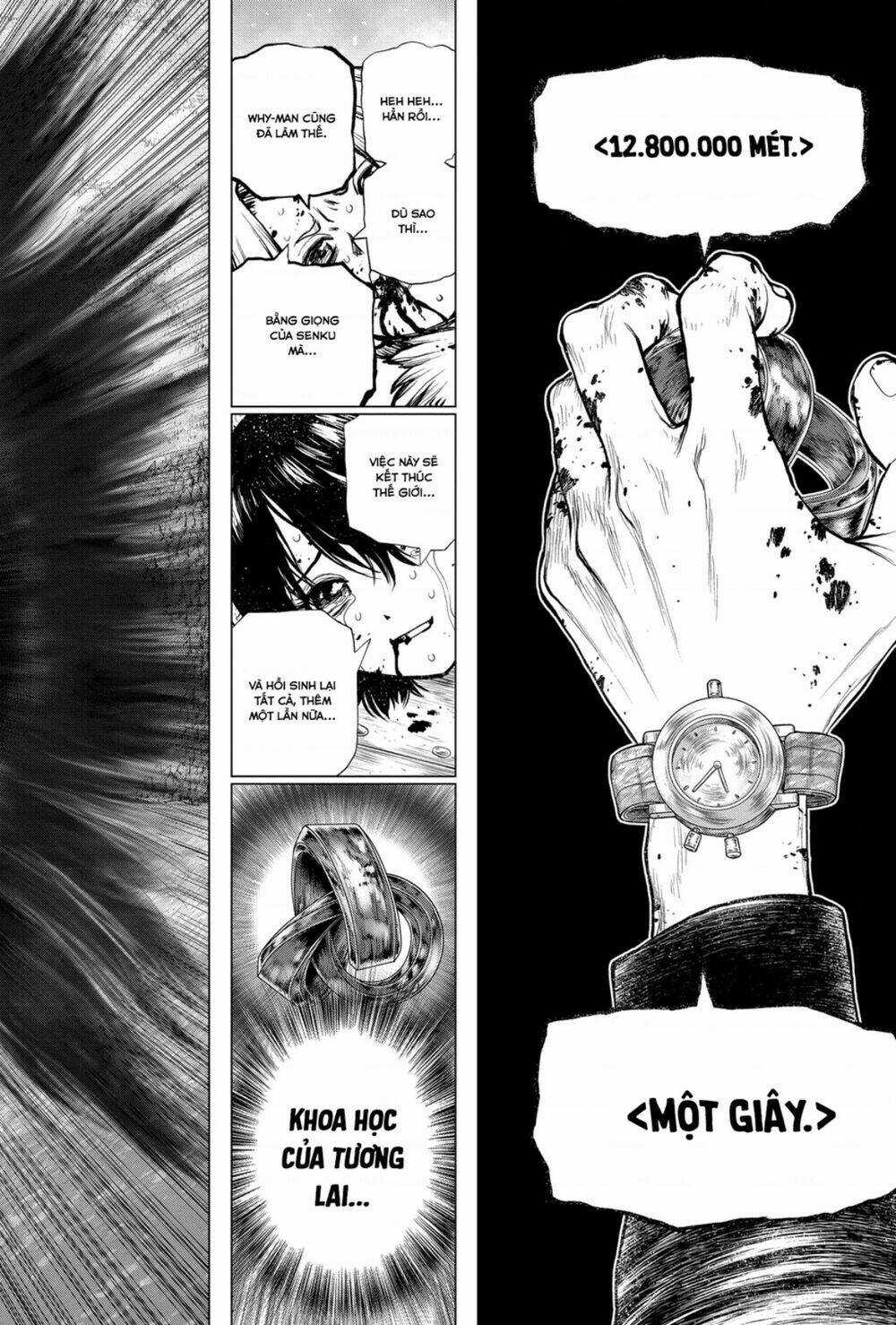 Dr.stone - Hồi Sinh Thế Giới Chapter 191 trang 19