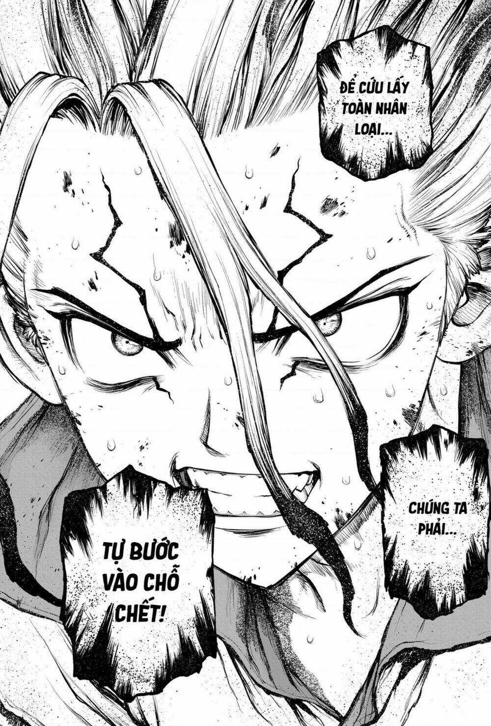 Dr.stone - Hồi Sinh Thế Giới Chapter 191 trang 3