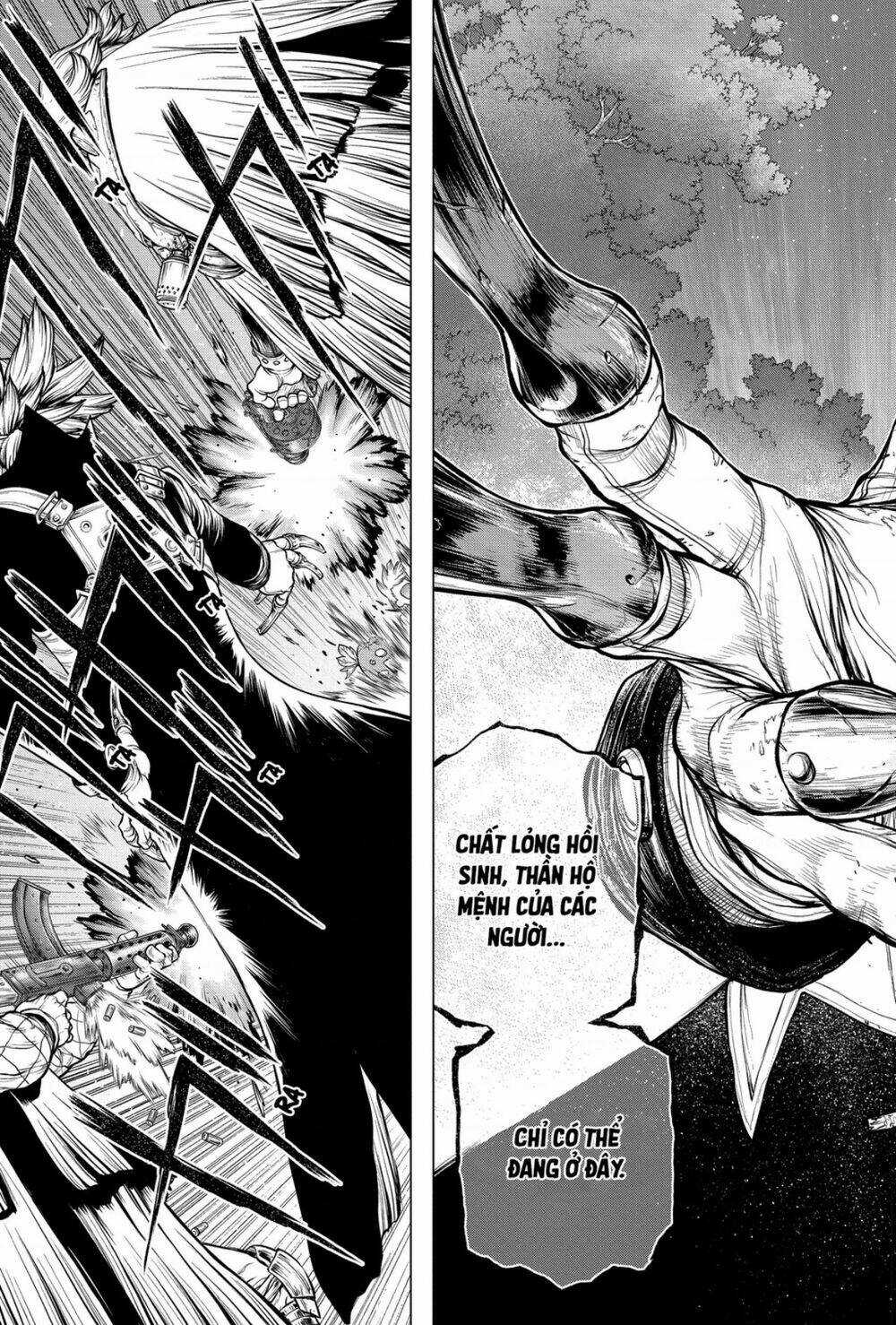 Dr.stone - Hồi Sinh Thế Giới Chapter 192 trang 10