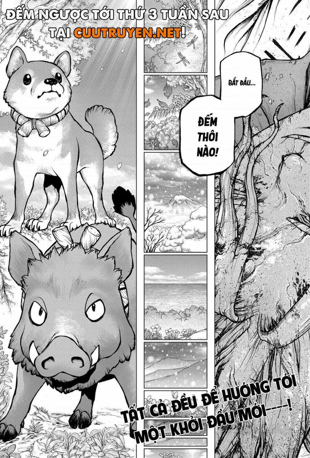 Dr.stone - Hồi Sinh Thế Giới Chapter 193 trang 19