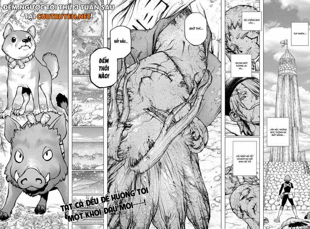 Dr.stone - Hồi Sinh Thế Giới Chapter 193 trang 20
