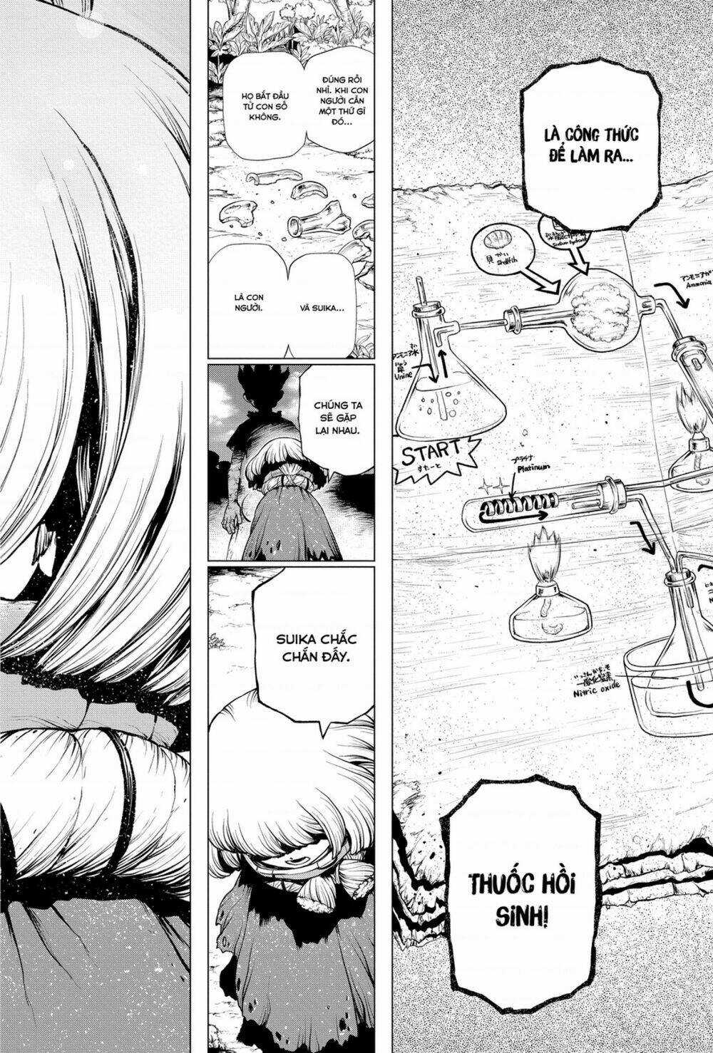 Dr.stone - Hồi Sinh Thế Giới Chapter 195 trang 15