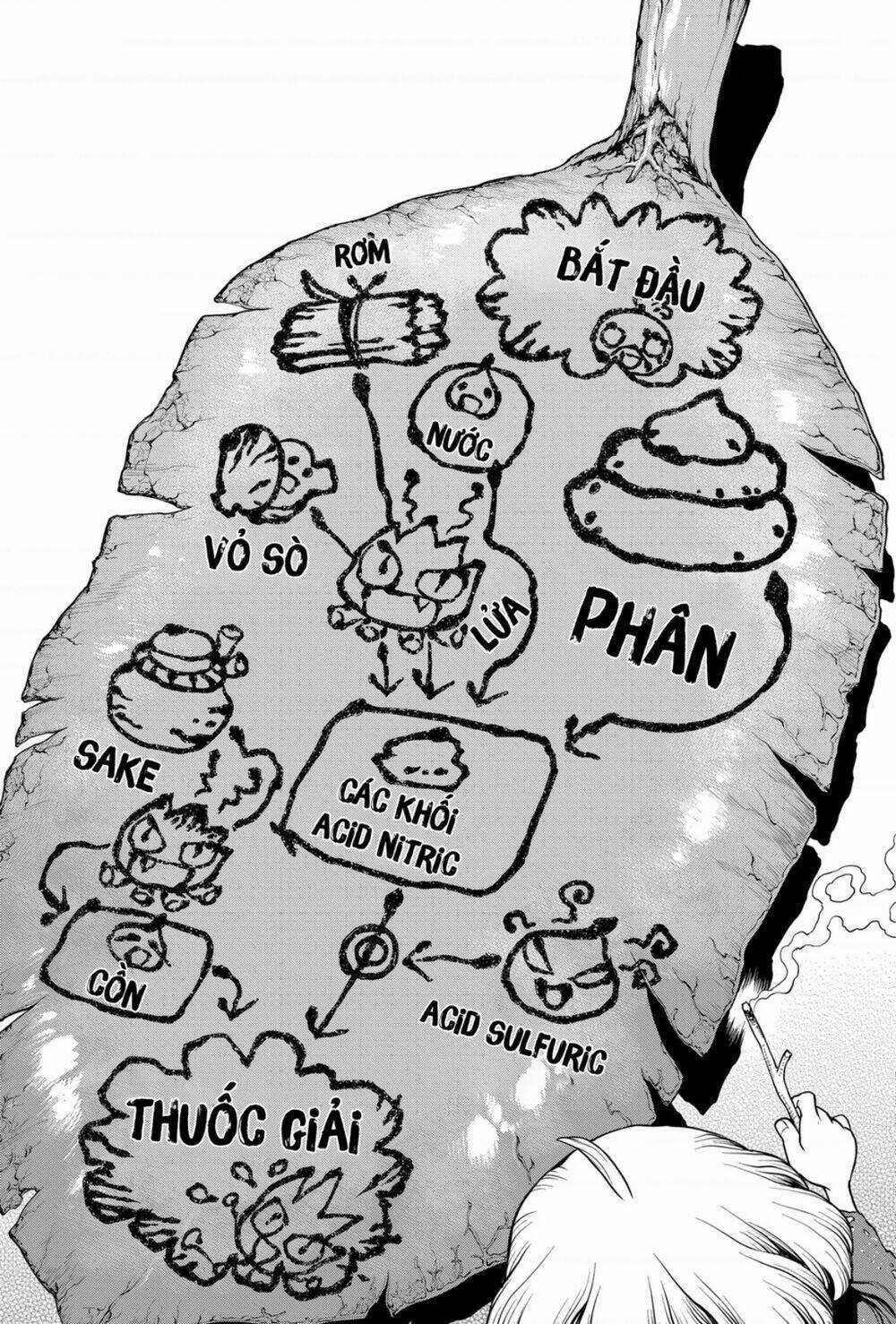 Dr.stone - Hồi Sinh Thế Giới Chapter 196 trang 10