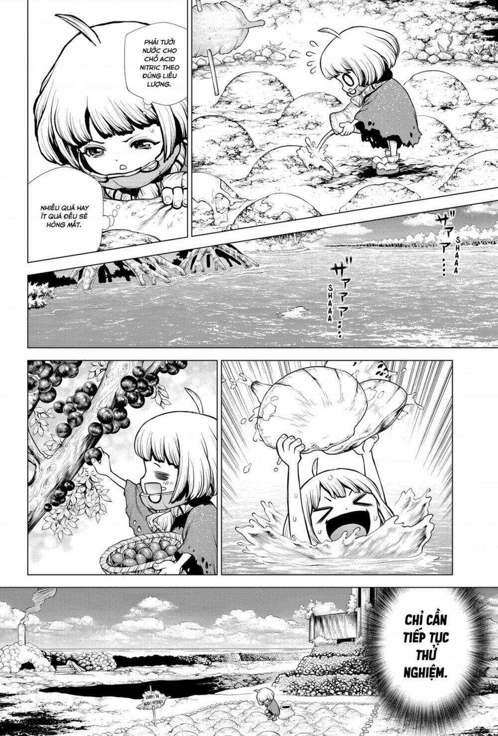Dr.stone - Hồi Sinh Thế Giới Chapter 196 trang 11