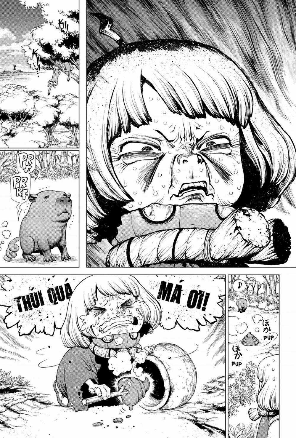 Dr.stone - Hồi Sinh Thế Giới Chapter 196 trang 6