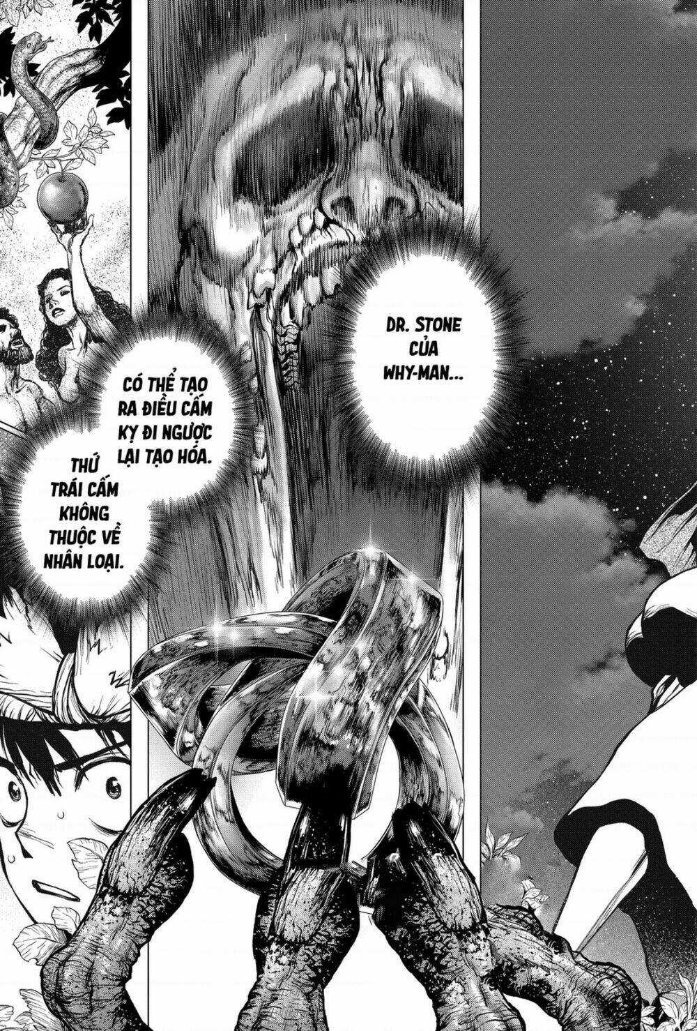 Dr.stone - Hồi Sinh Thế Giới Chapter 197 trang 21