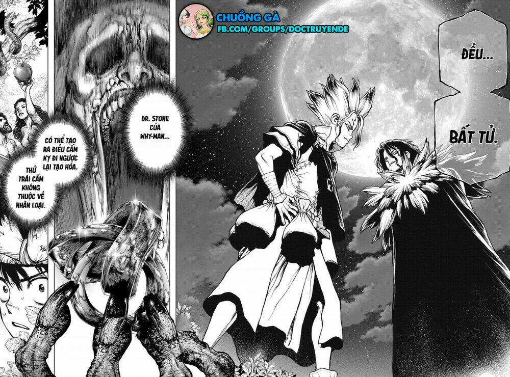 Dr.stone - Hồi Sinh Thế Giới Chapter 197 trang 22