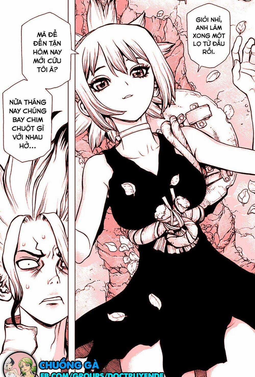 Dr.stone - Hồi Sinh Thế Giới Chapter 197 trang 4