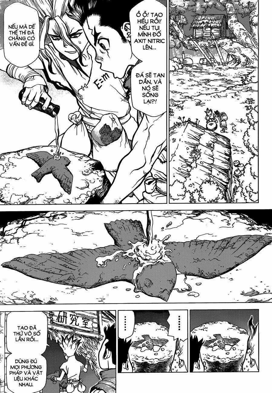 Dr.stone - Hồi Sinh Thế Giới Chapter 2 trang 10