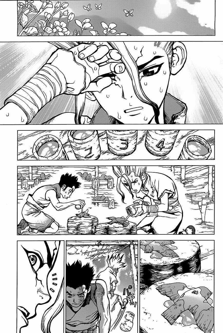 Dr.stone - Hồi Sinh Thế Giới Chapter 2 trang 19