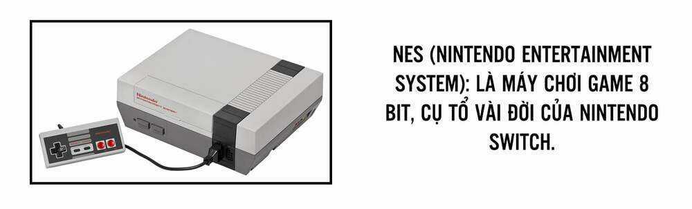 Dr.stone - Hồi Sinh Thế Giới Chapter 205 trang 19