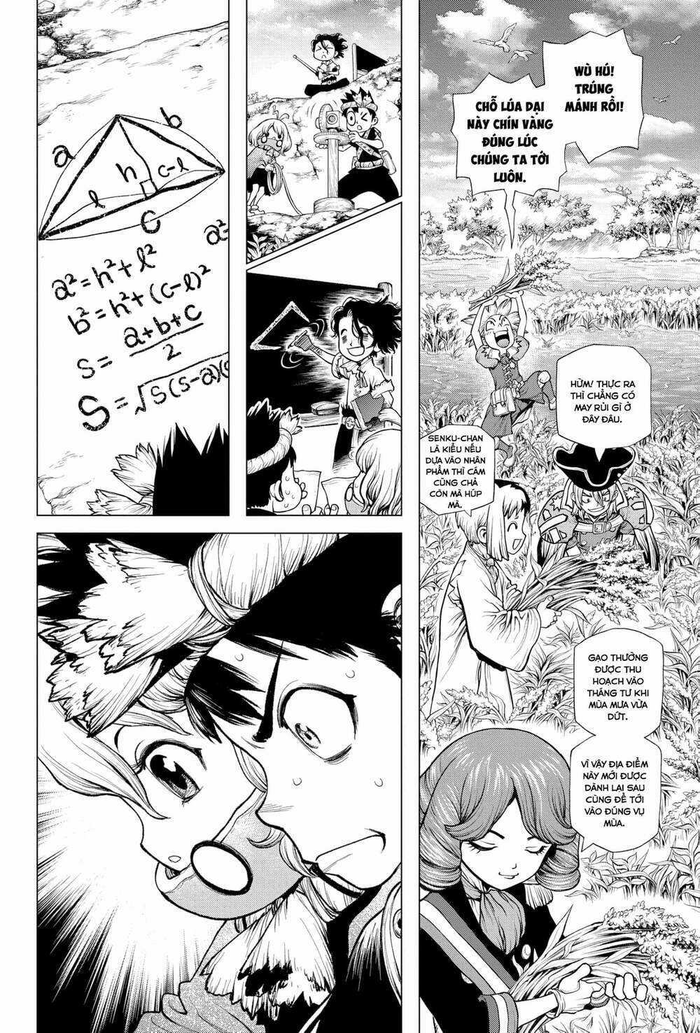 Dr.stone - Hồi Sinh Thế Giới Chapter 211 trang 12