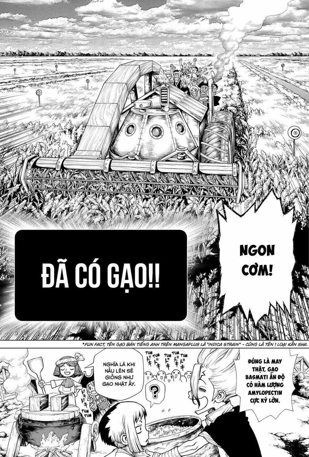 Dr.stone - Hồi Sinh Thế Giới Chapter 211 trang 19