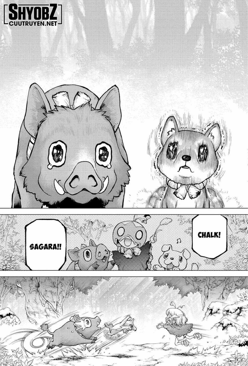 Dr.stone - Hồi Sinh Thế Giới Chapter 212 trang 12