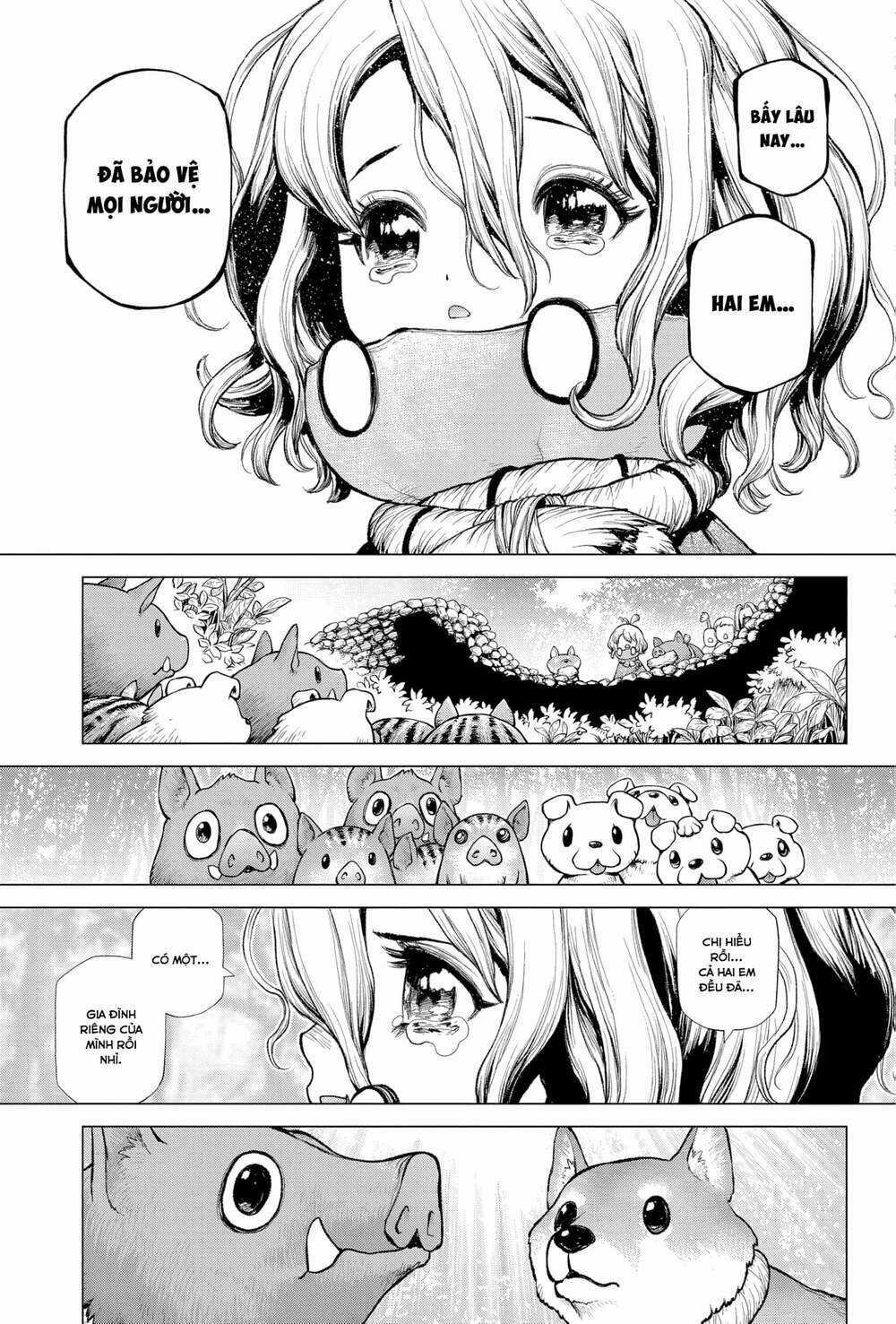 Dr.stone - Hồi Sinh Thế Giới Chapter 212 trang 14