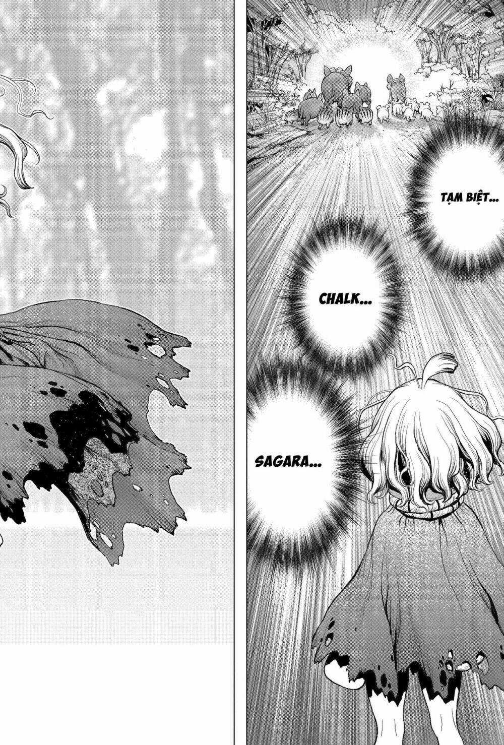 Dr.stone - Hồi Sinh Thế Giới Chapter 212 trang 15