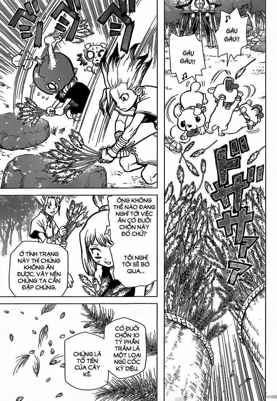 Dr.stone - Hồi Sinh Thế Giới Chapter 22 trang 10